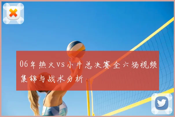 06年热火vs小牛总决赛全六场视频集锦与战术分析